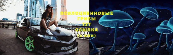 СК Каменка