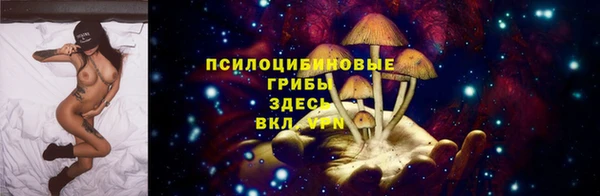 СК Каменка