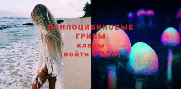дистиллят марихуана Каменногорск